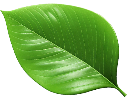 shape2